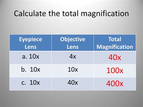 total magnification formula|How to Calculate Total Magnification.